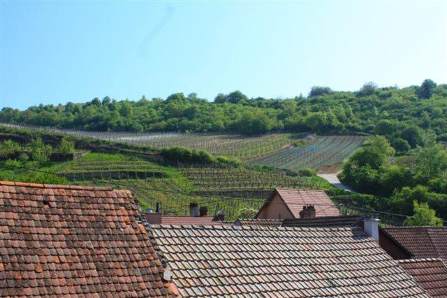 Logis Du Cheval Blanc Hotel Westhalten Kültér fotó